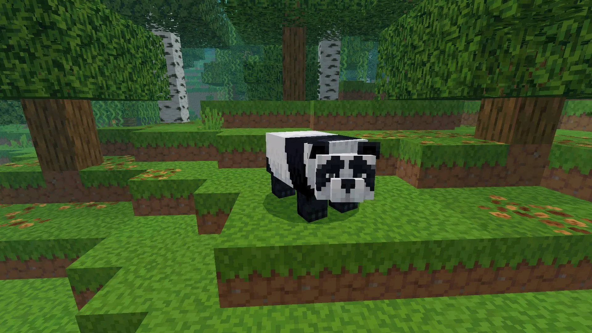 Panda from Action and Stuff Texture Pack for Minecraft Latest Version Panda from Action and Stuff Texture Pack for Minecraft Latest Version